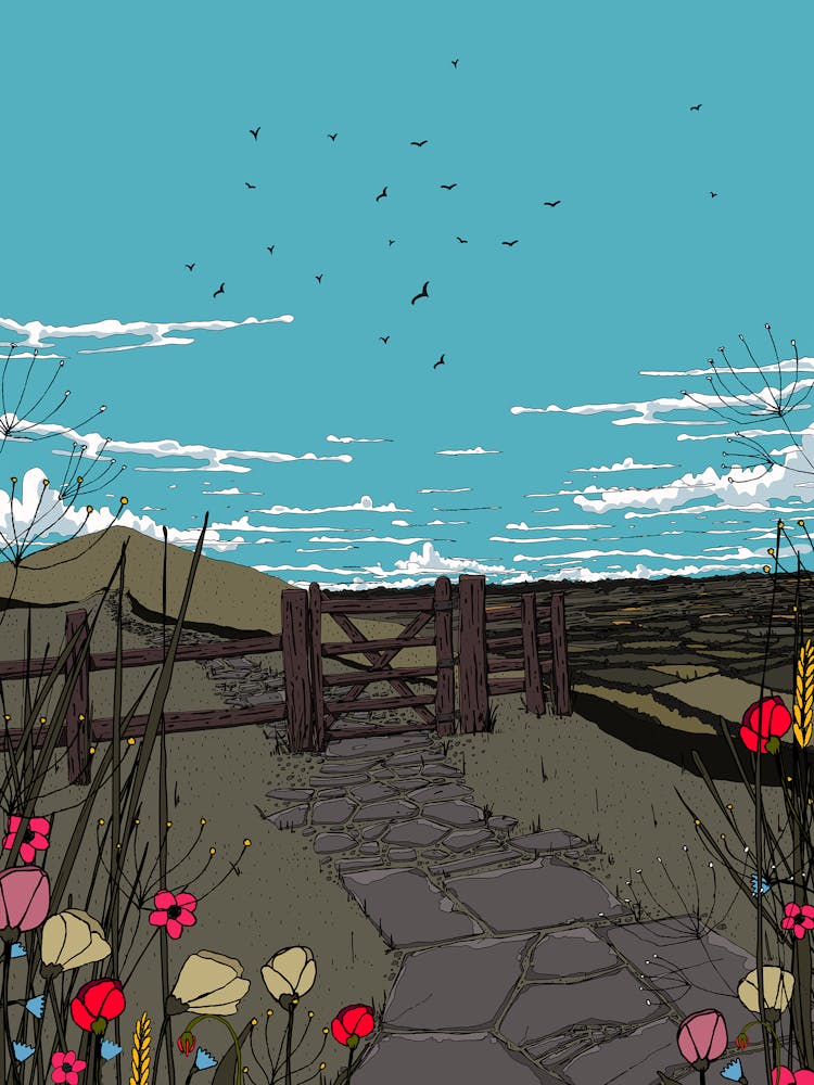 Poppies In The Meadow