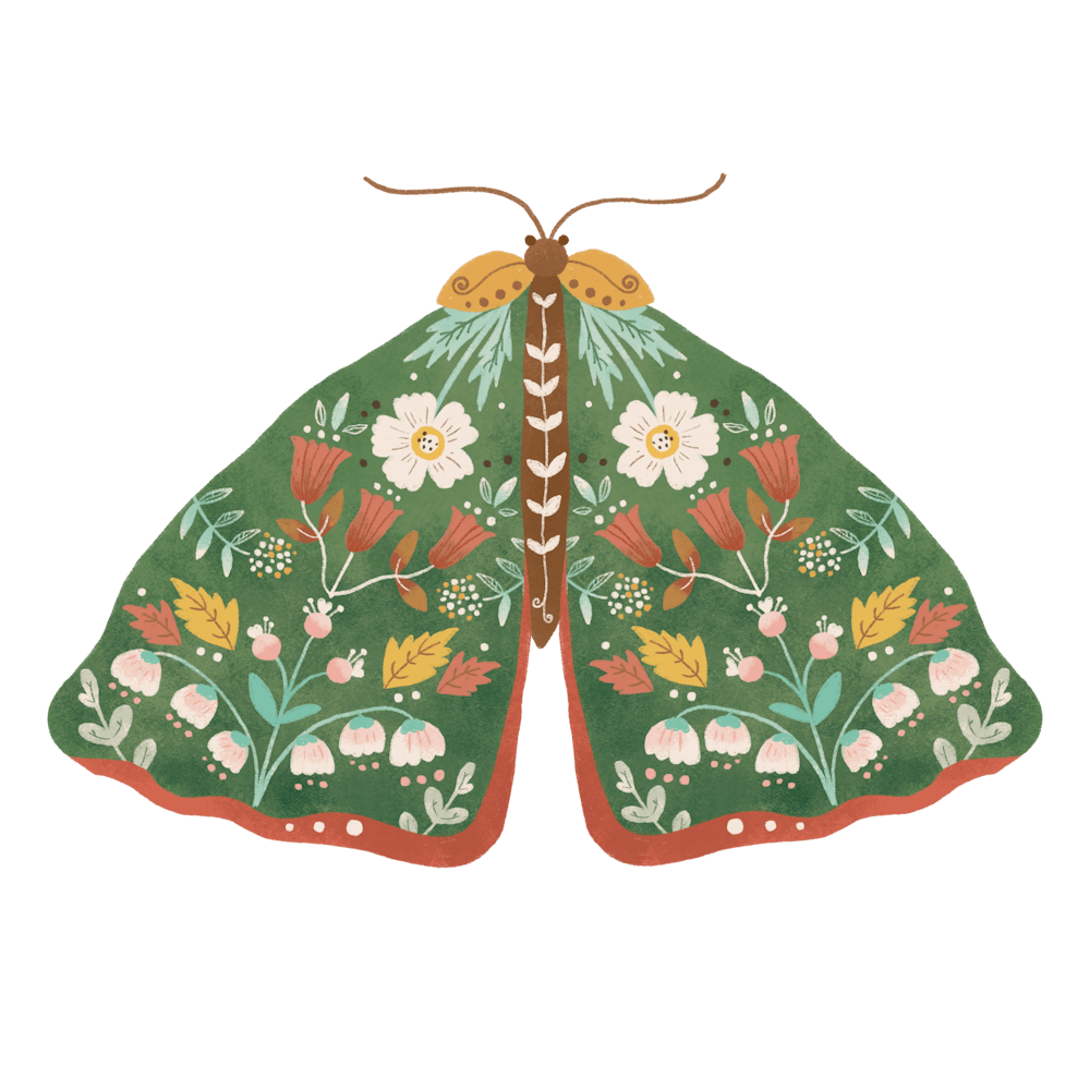 Hand drawn Floral Butterfly
