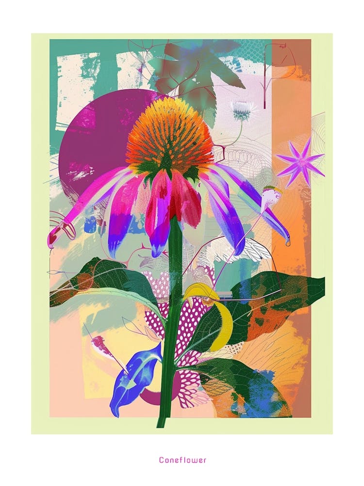 Coneflower 3 Neon Flower Collage Poster
