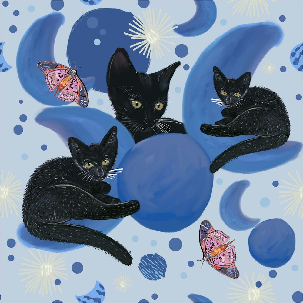 Black Cat Moon