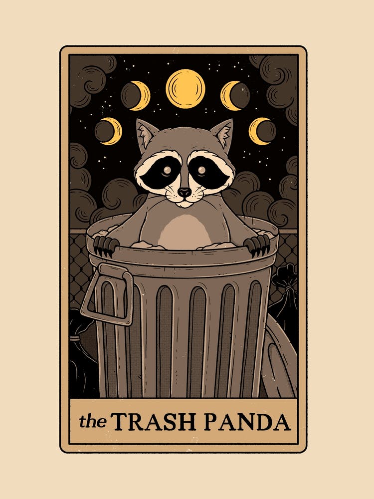 The Trash Panda Raccoons Tarot