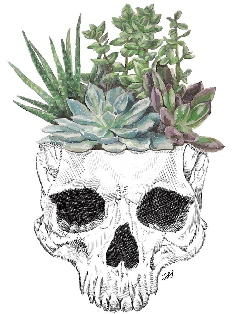 Skull Succulent