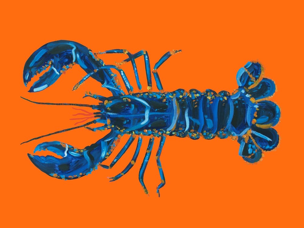 Lobster On Orange Kitchen
