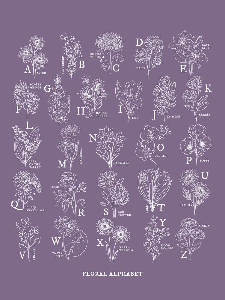 Floral Alphabet | Dark Orchid
