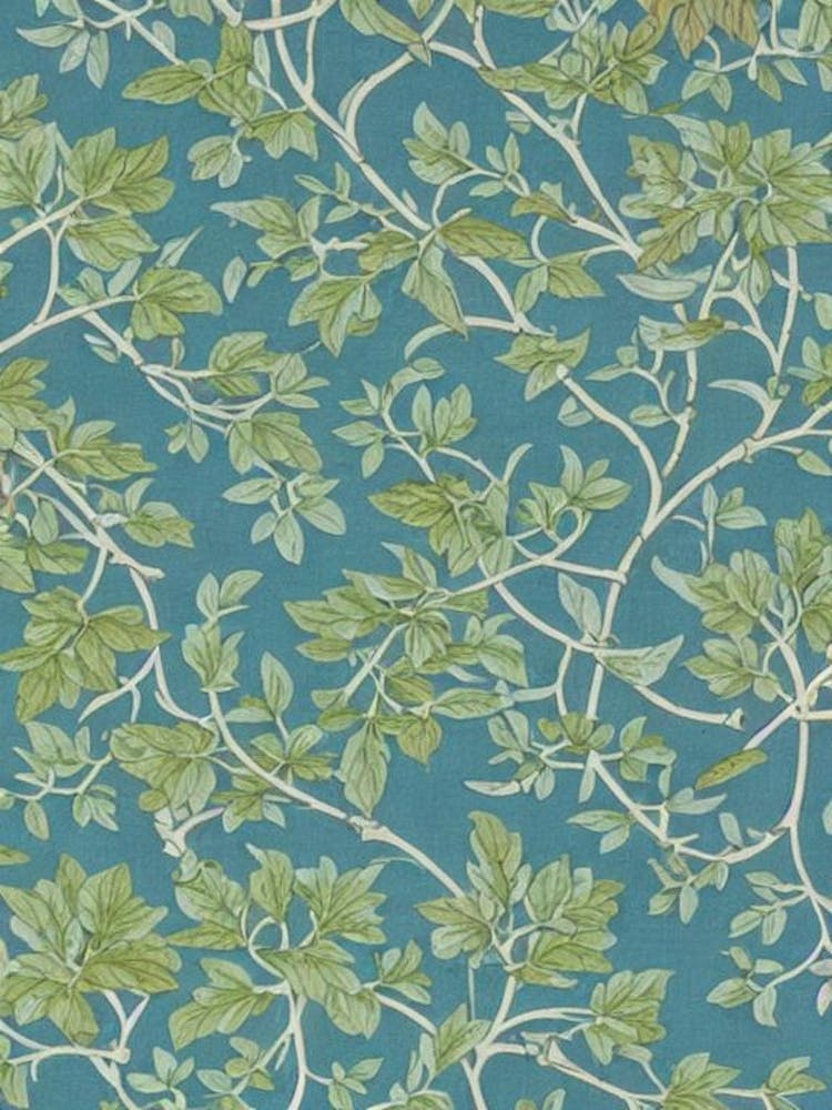 Goldenrain Tree tree Vintage Botanical