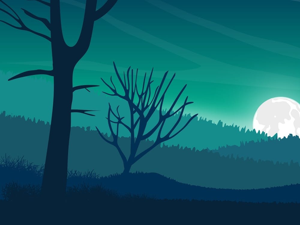 Full Moon At Night