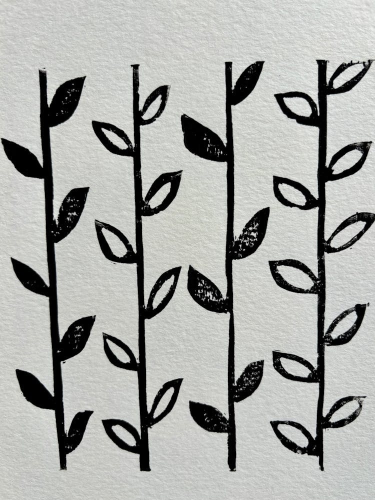 Leaves On A Branch