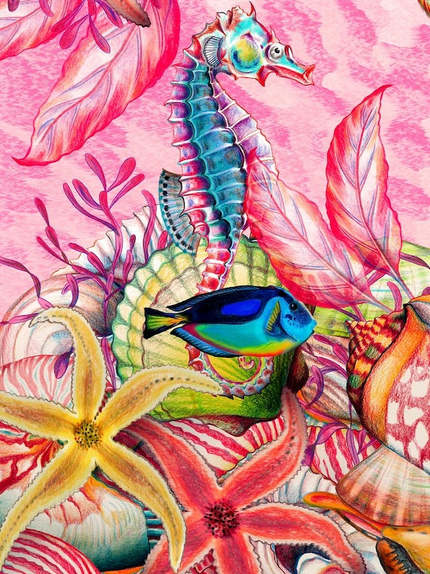 Just Keep Swimming Seahorse