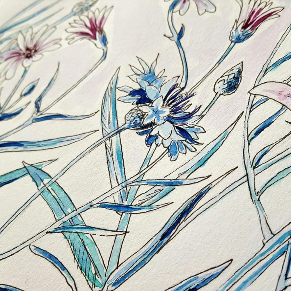 Wildflowers 2