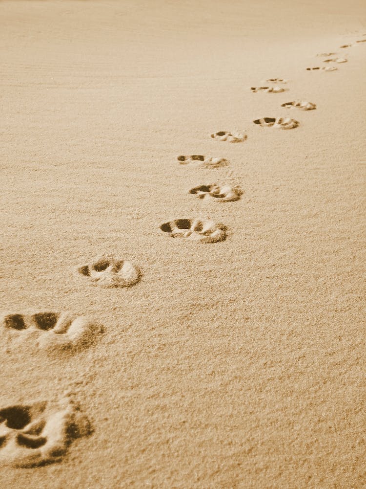 Footprints in the Sand