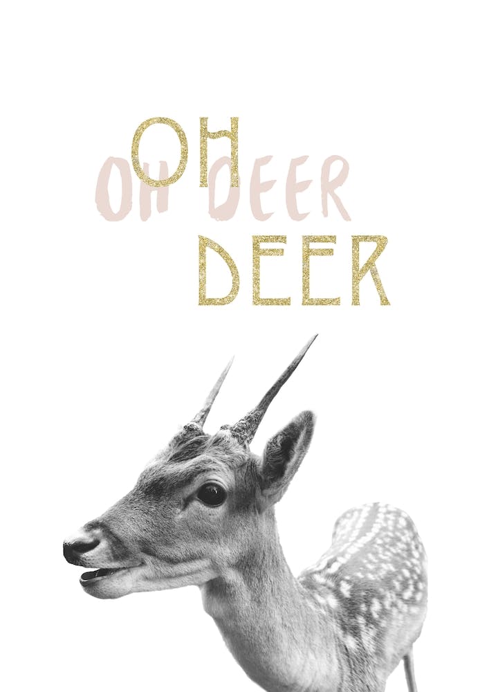 Oh Deer
