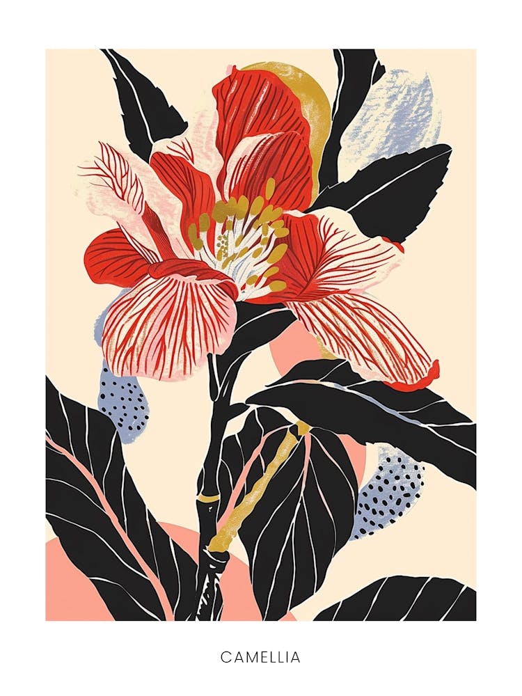 Colourful Flower Illustration Poster Camellia 2