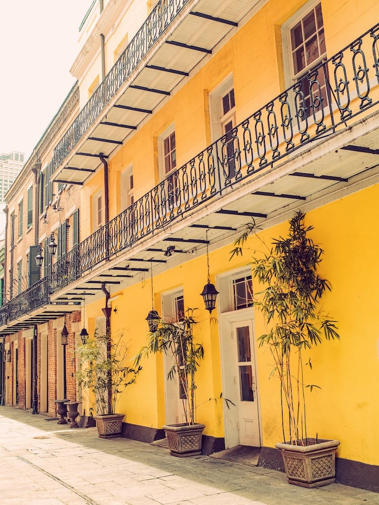 Yellow Exotic, New Orleans