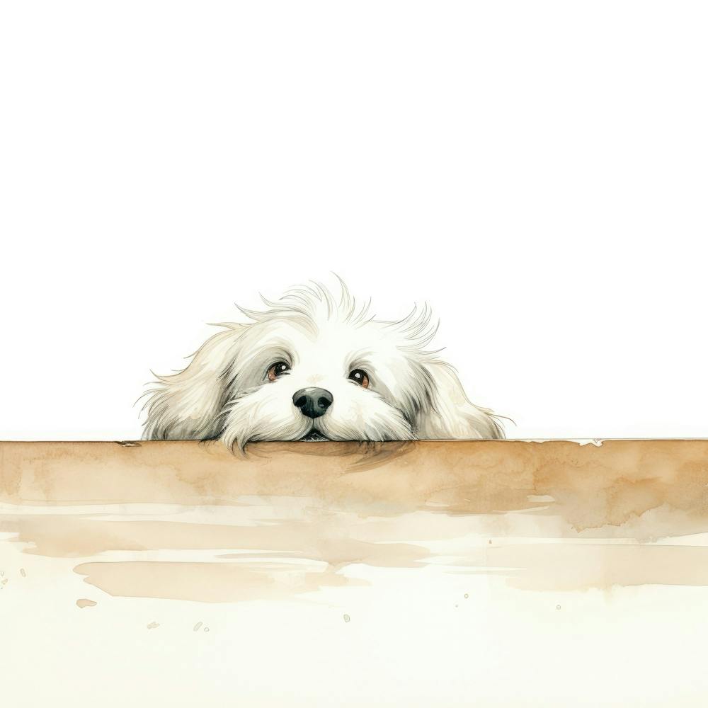 Dog Peeking Over The Wall 11