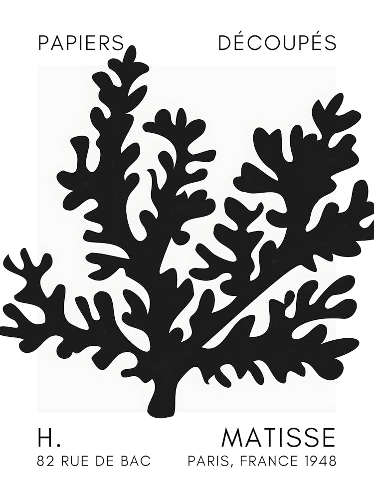 H Matisse 49