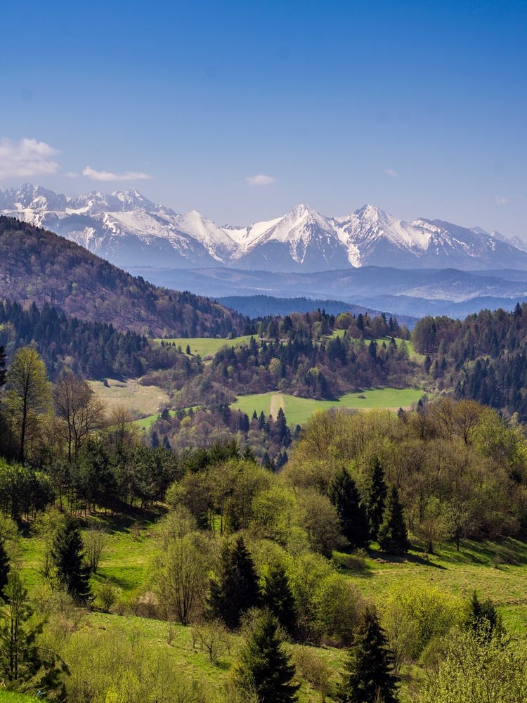 Tatra Mountains In Spring