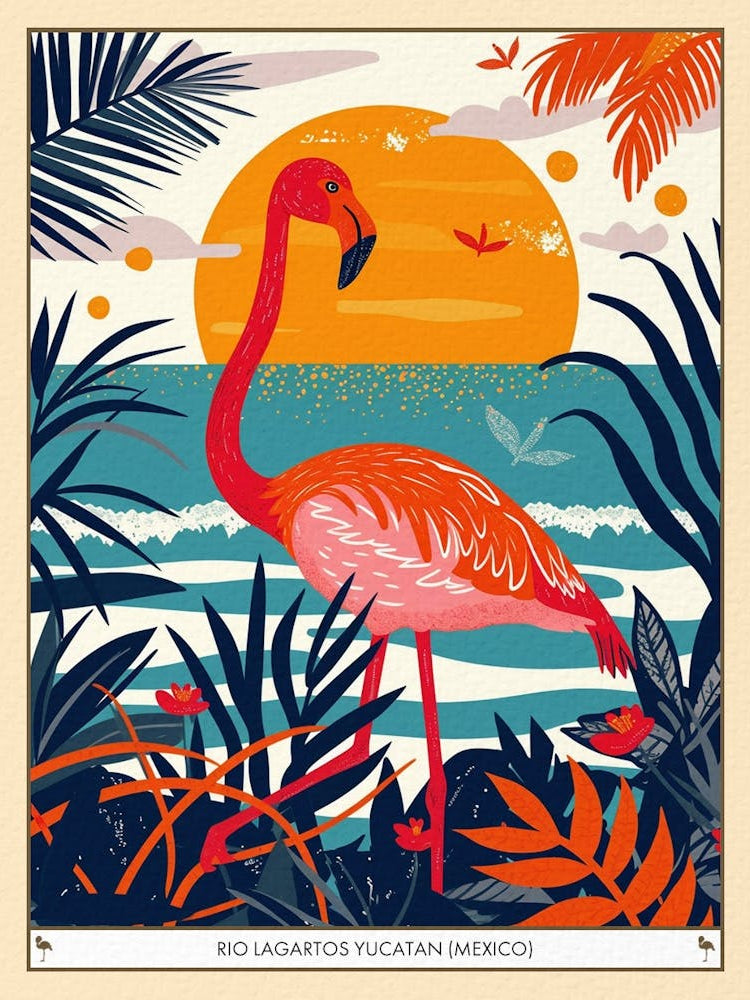 Greater Flamingo Rio Lagartos Yucatan Mexico Tropical Illustration 5 Poster