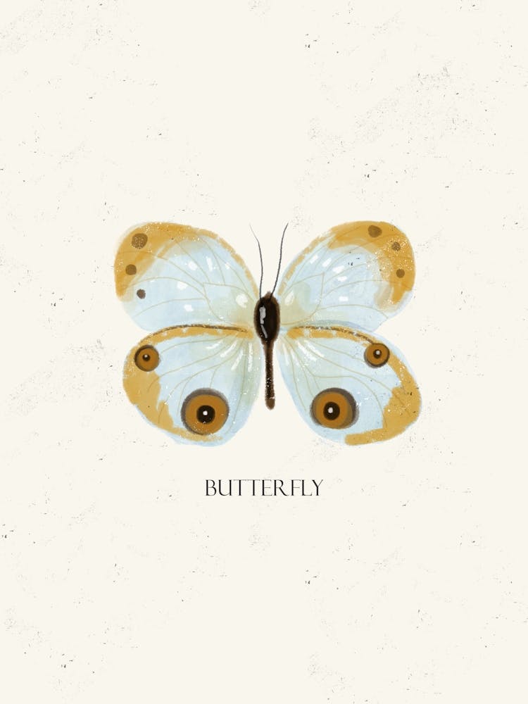 Digital Butterly