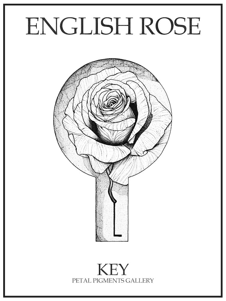 English Rose Key Line Drawing 3 Poster