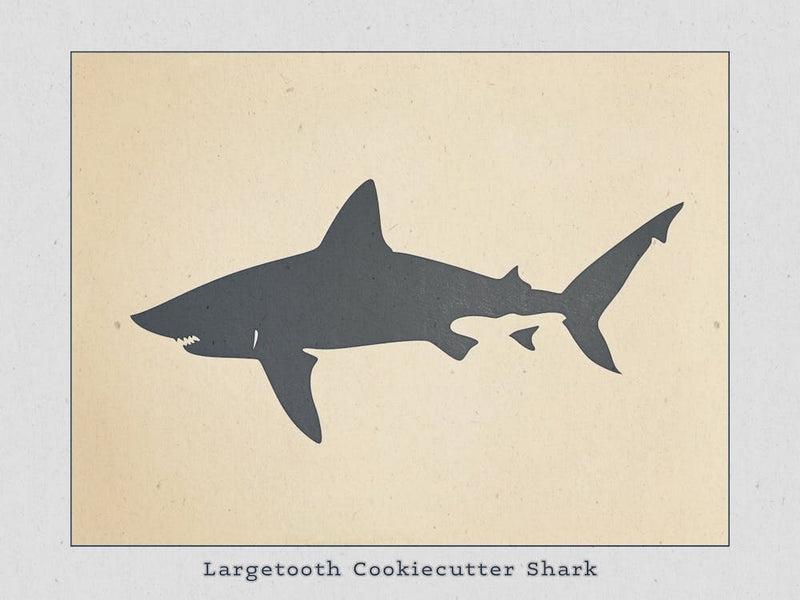 Largetooth Cookiecutter Shark Silhouette 4 Poster
