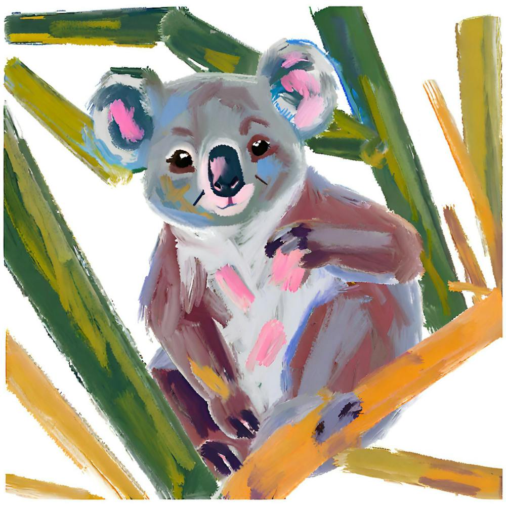 Koala 05
