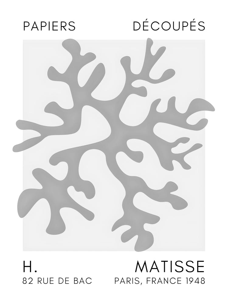 H Matisse 48