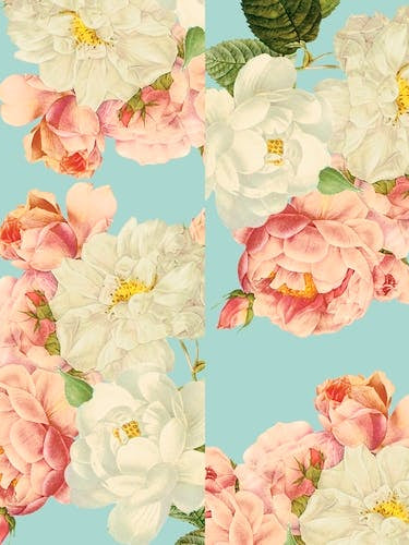 Redoute Summer Roses 