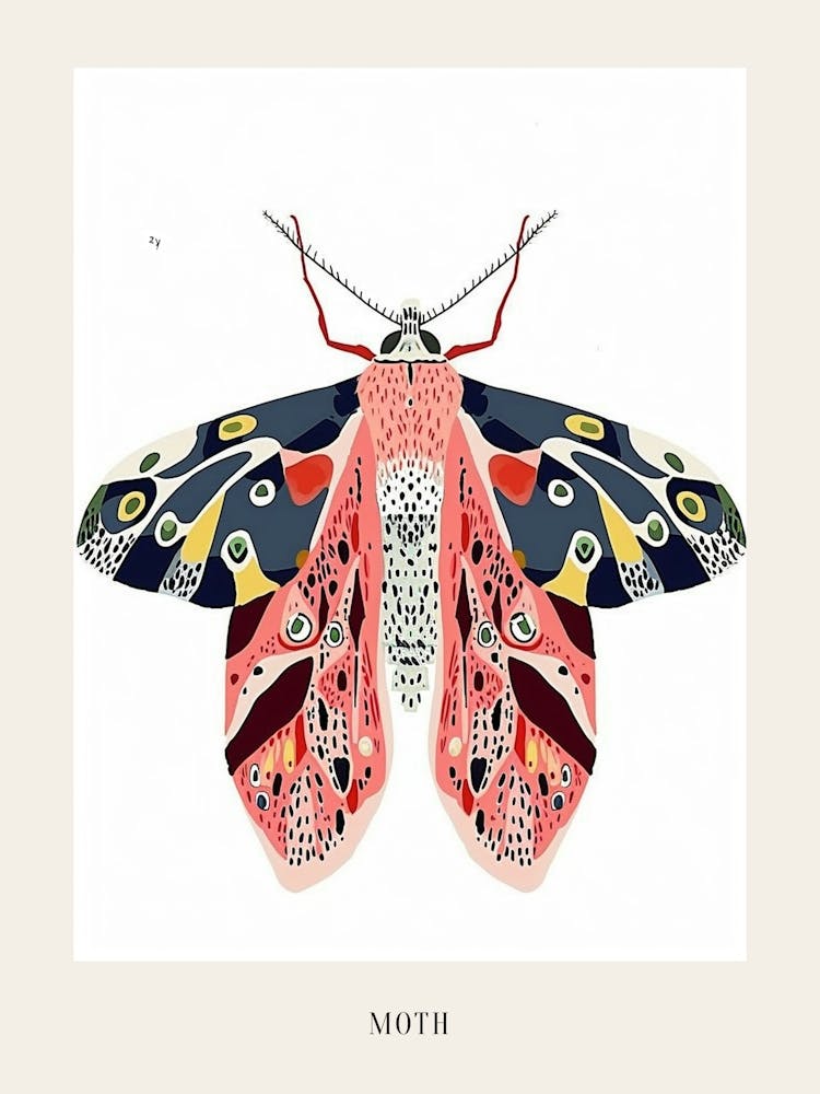 Colourful Insect Illustration Moth 45 Poster