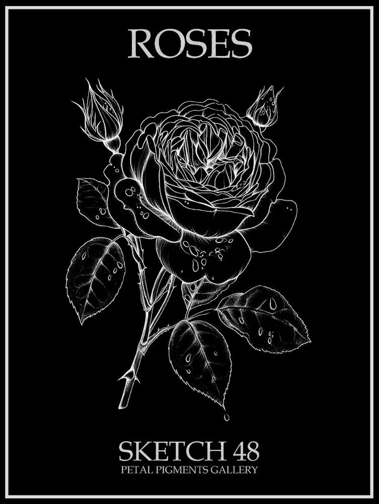 Roses Sketch 48 Poster Inverted