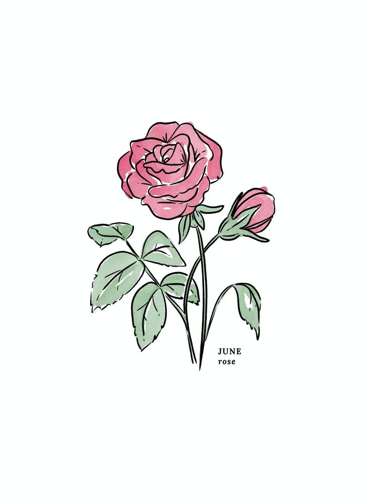 June Rose Birth Flower 1