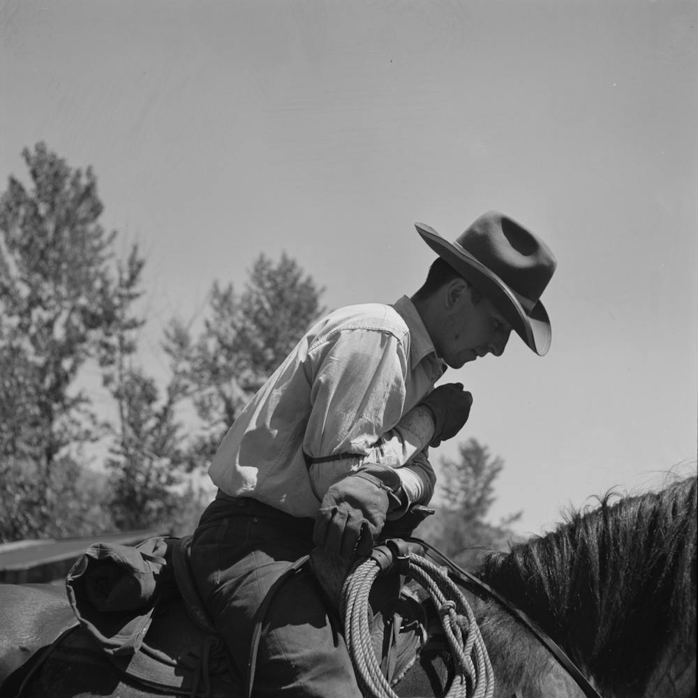 Photo Sans Titre, Possiblement Liée À Ola, Idaho, Cowboy Qui S'occupe Du Bétail De Boucherie Des Membres D'Ola Self Help