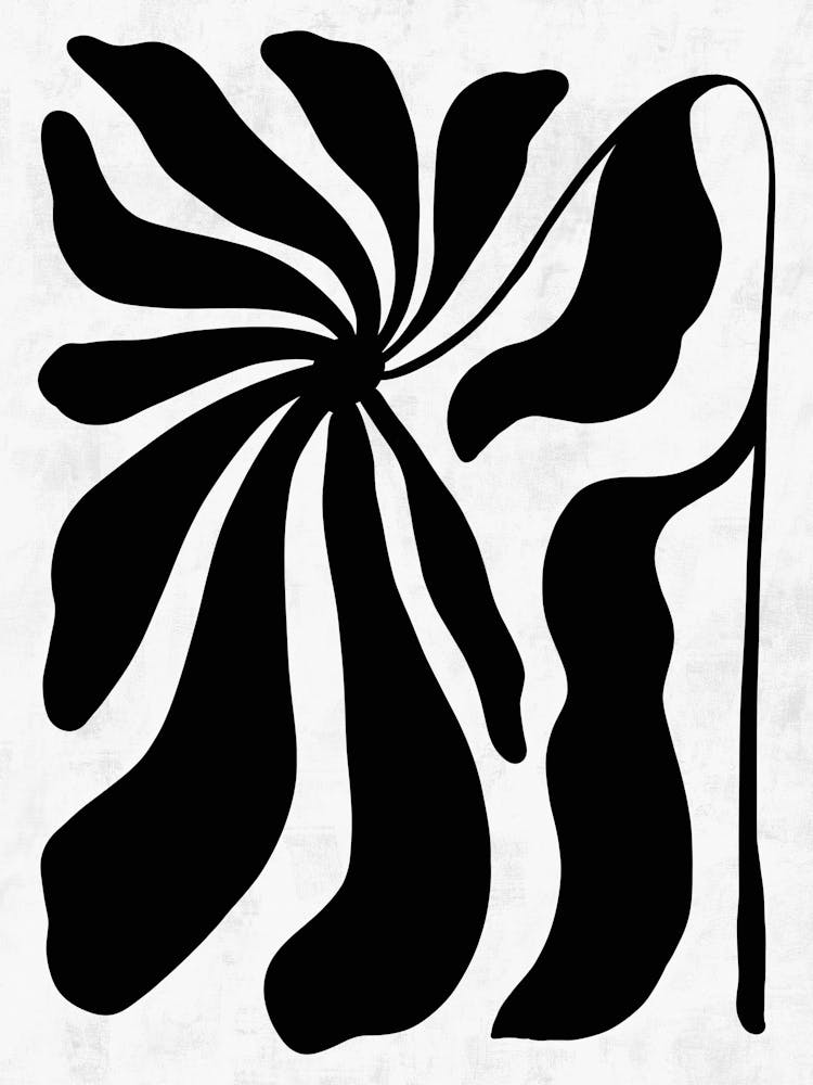 Black And White Flower 38