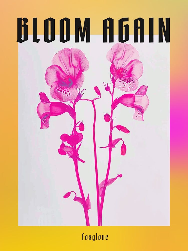 Hot Pink Foxglove 2 Poster