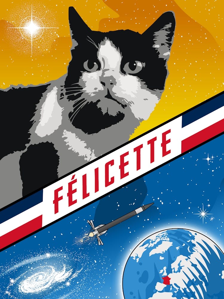 Felicette, First cat in space, France, 1963 — Vintage space poster, retro space art, propaganda poster, retrofuturism