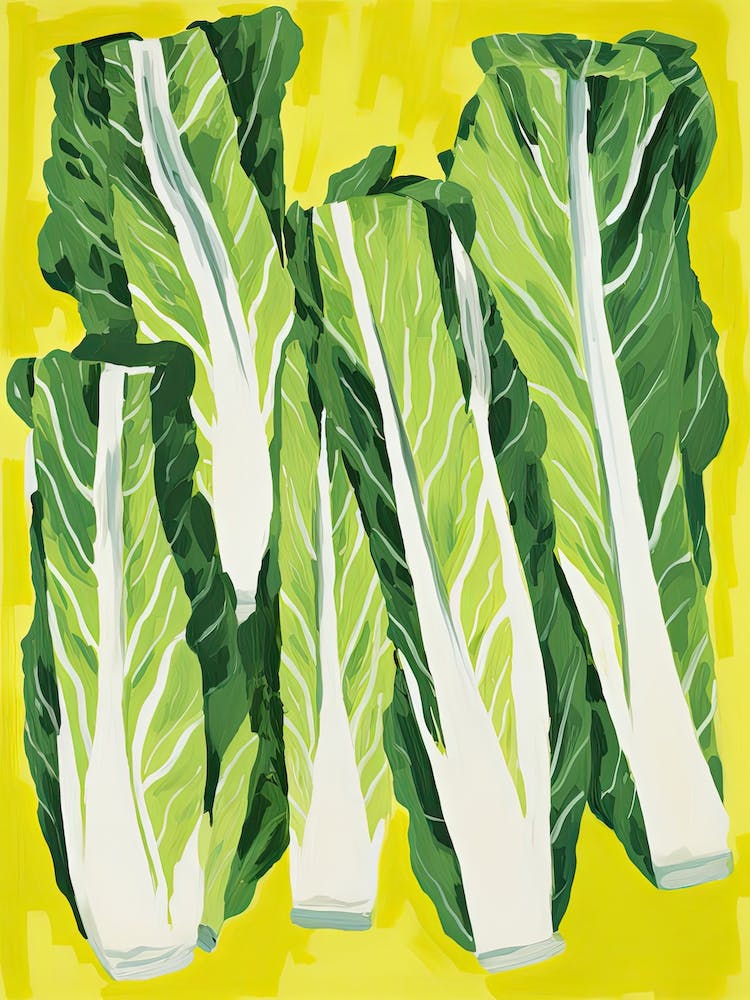 Endive Summer Illustration 2