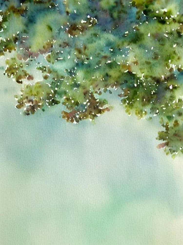 Acropora Efflorescens Ii Storybook Watercolour