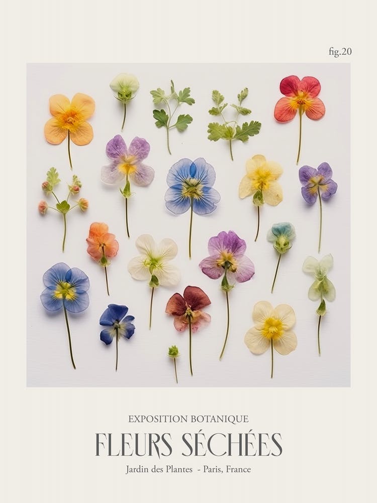 Fleurs Séchées, Affiche d'Exposition de Fleurs Séchées 20