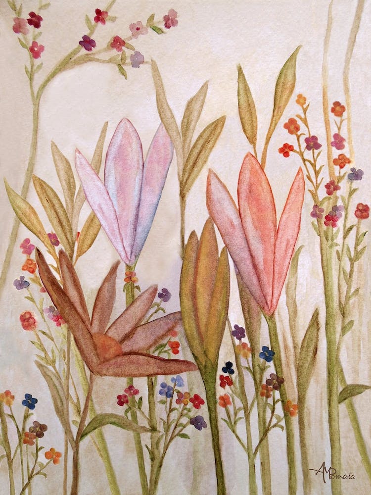 Lily Garden