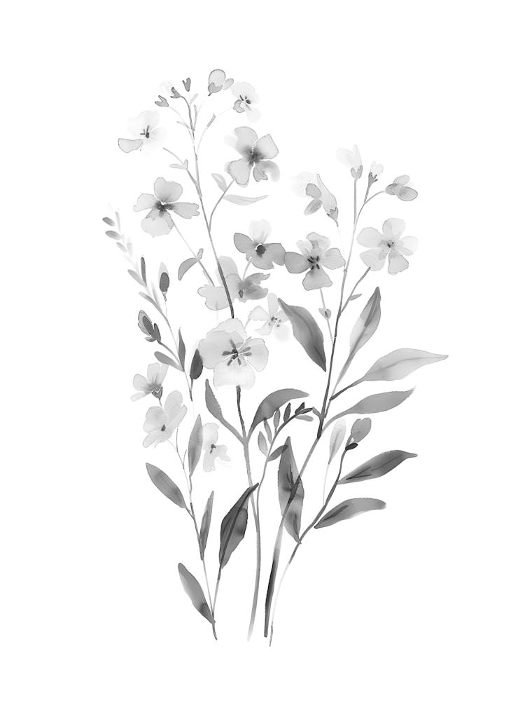 Fleurs Noires Et Blanches 63