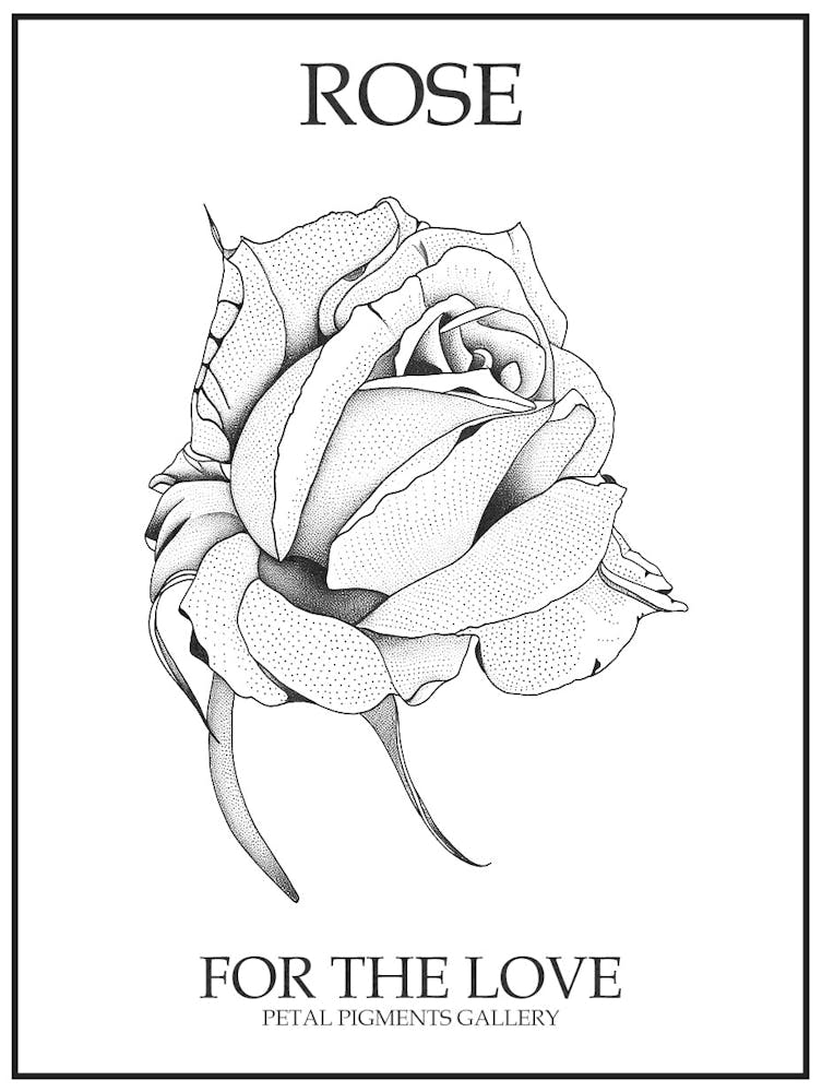 Rose Line Drawing 3 Poster