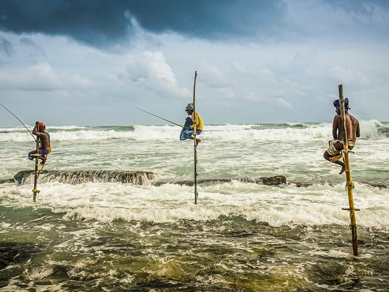 Pêche Dans L'Océan