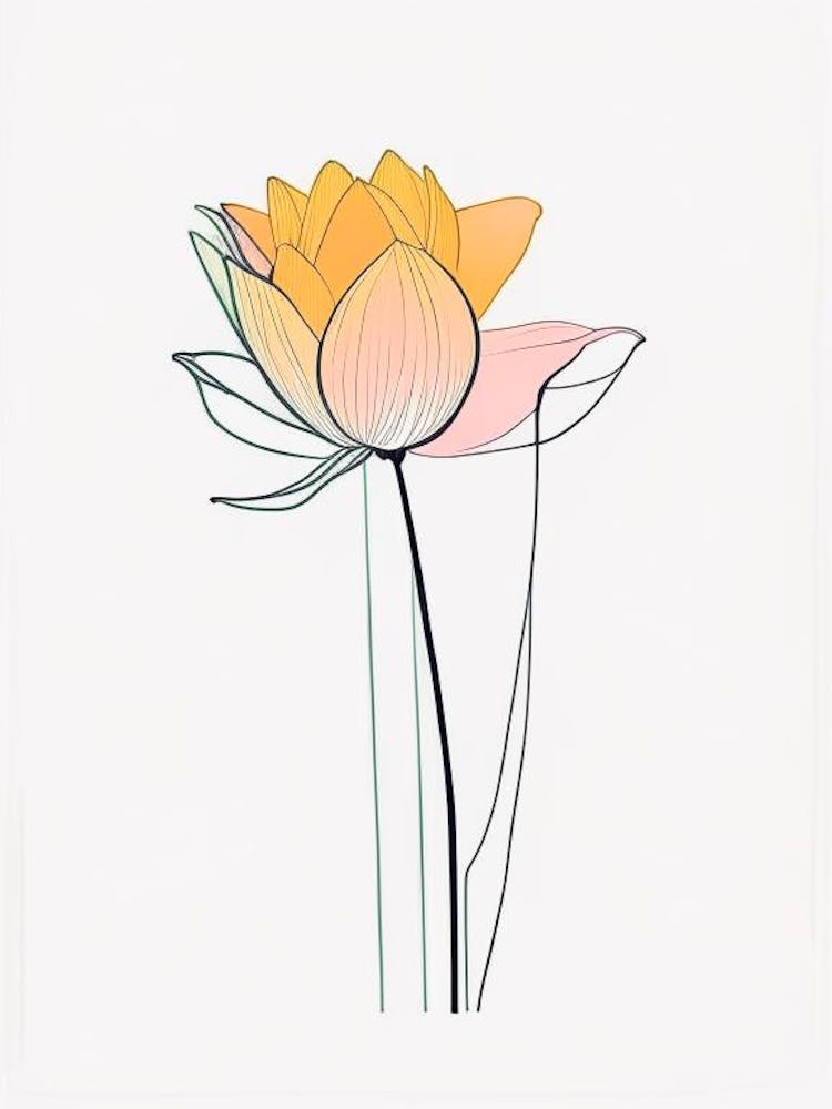Lotus Flower Bouquet Minimal Line Drawing 1