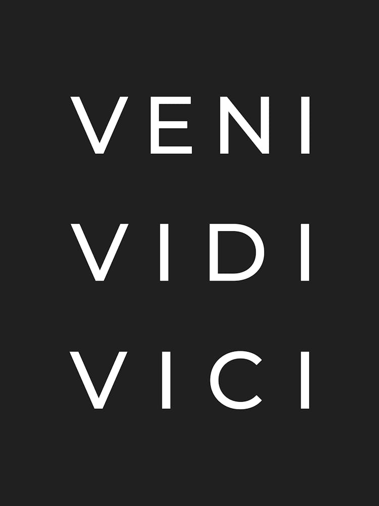 Veni Vidi Vici - I cam, I saw, I conquered