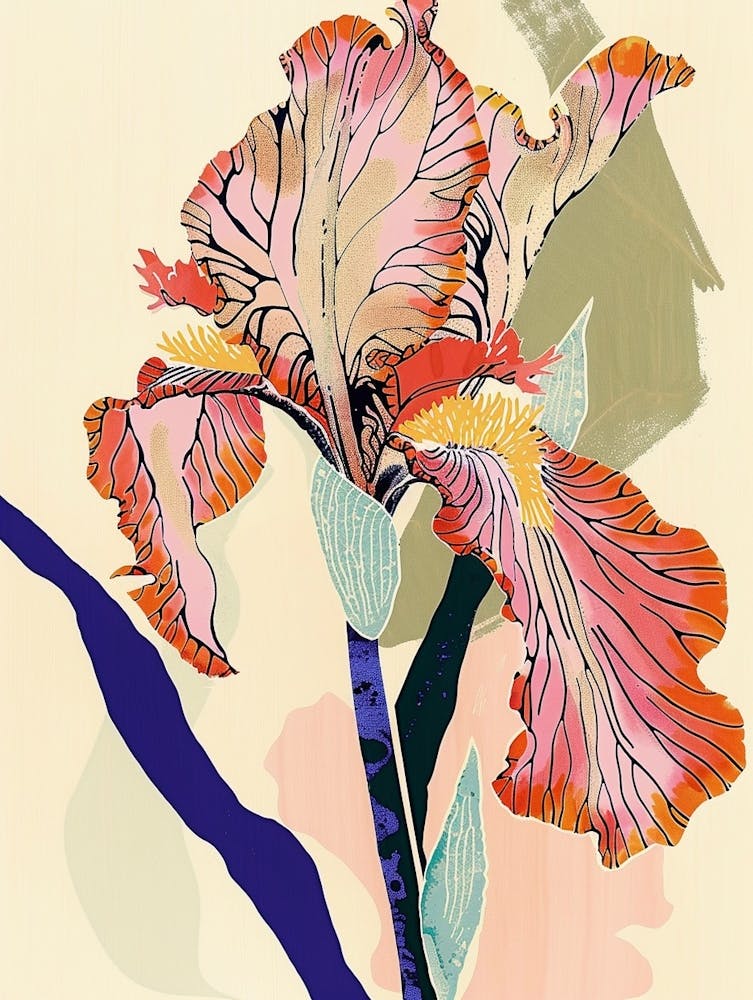 Colourful Flower Illustration Iris 7