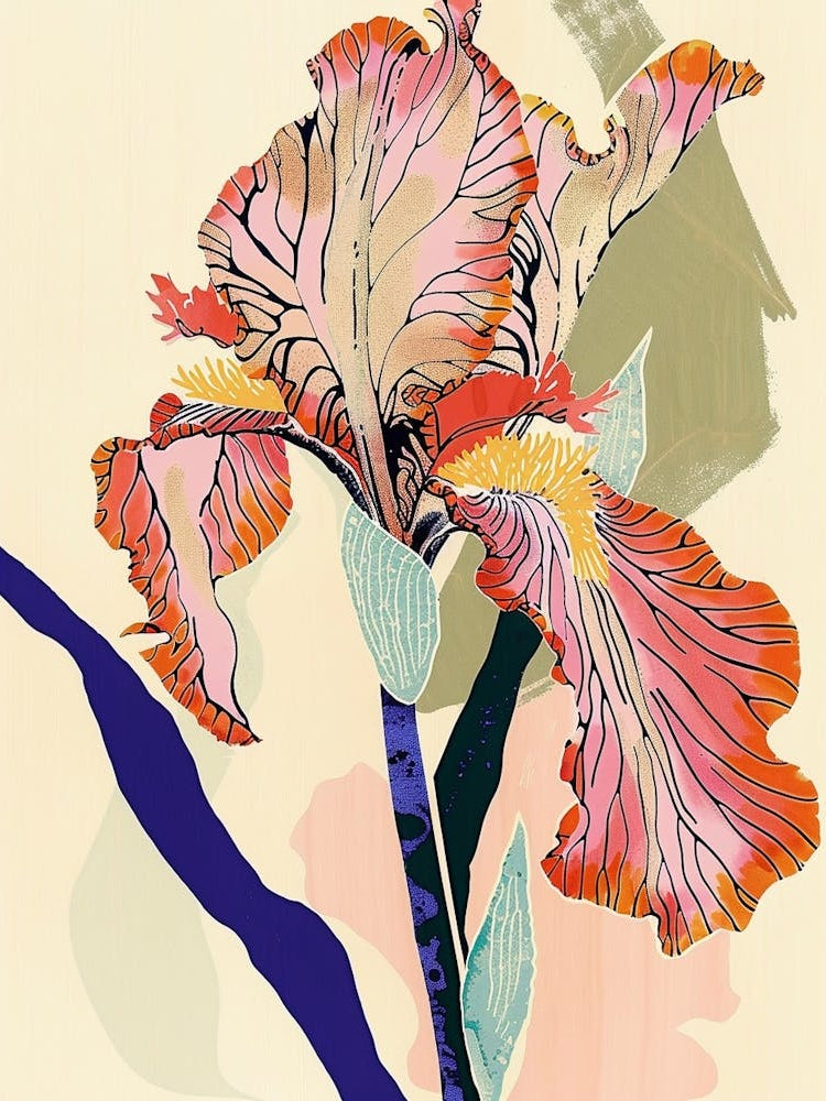 Colourful Flower Illustration Iris 7