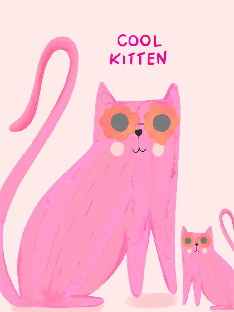 Cool Kitten