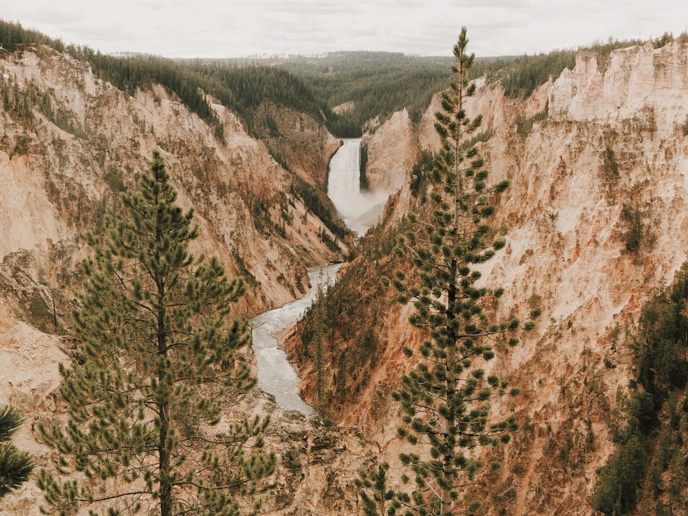 Grand Canyon Of The Yellowstone