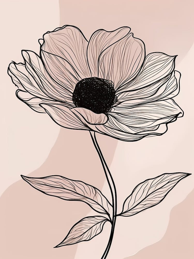 Line Art Sunflower Flowers Illustration Neutral 11