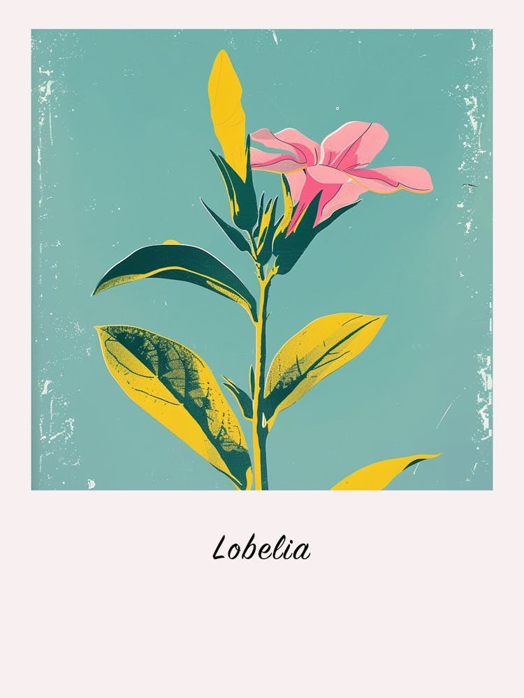 Lobelia 1 Square Flower Illustration Poster