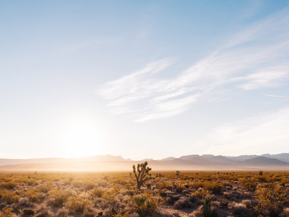 Nevada Desert Sunrise V